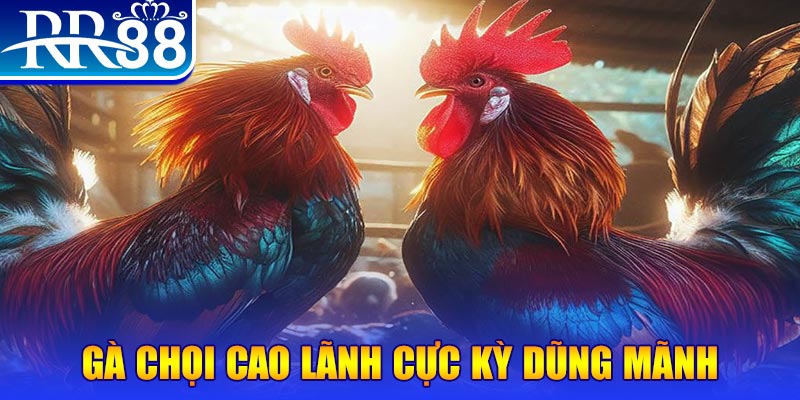 qh235 casino TRỰC TUYẾN